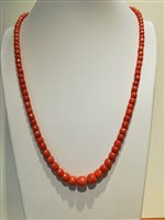 Collana Michieletto Gioielli Donna in Corallo MICPTRD10039380 - MICPTRD10039380